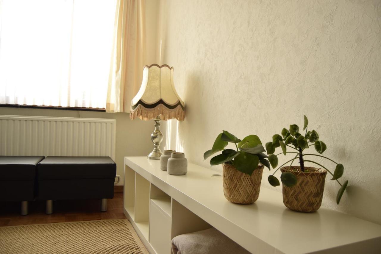 Vakantiewoning Wurfeldermolen Маасейк Екстер'єр фото