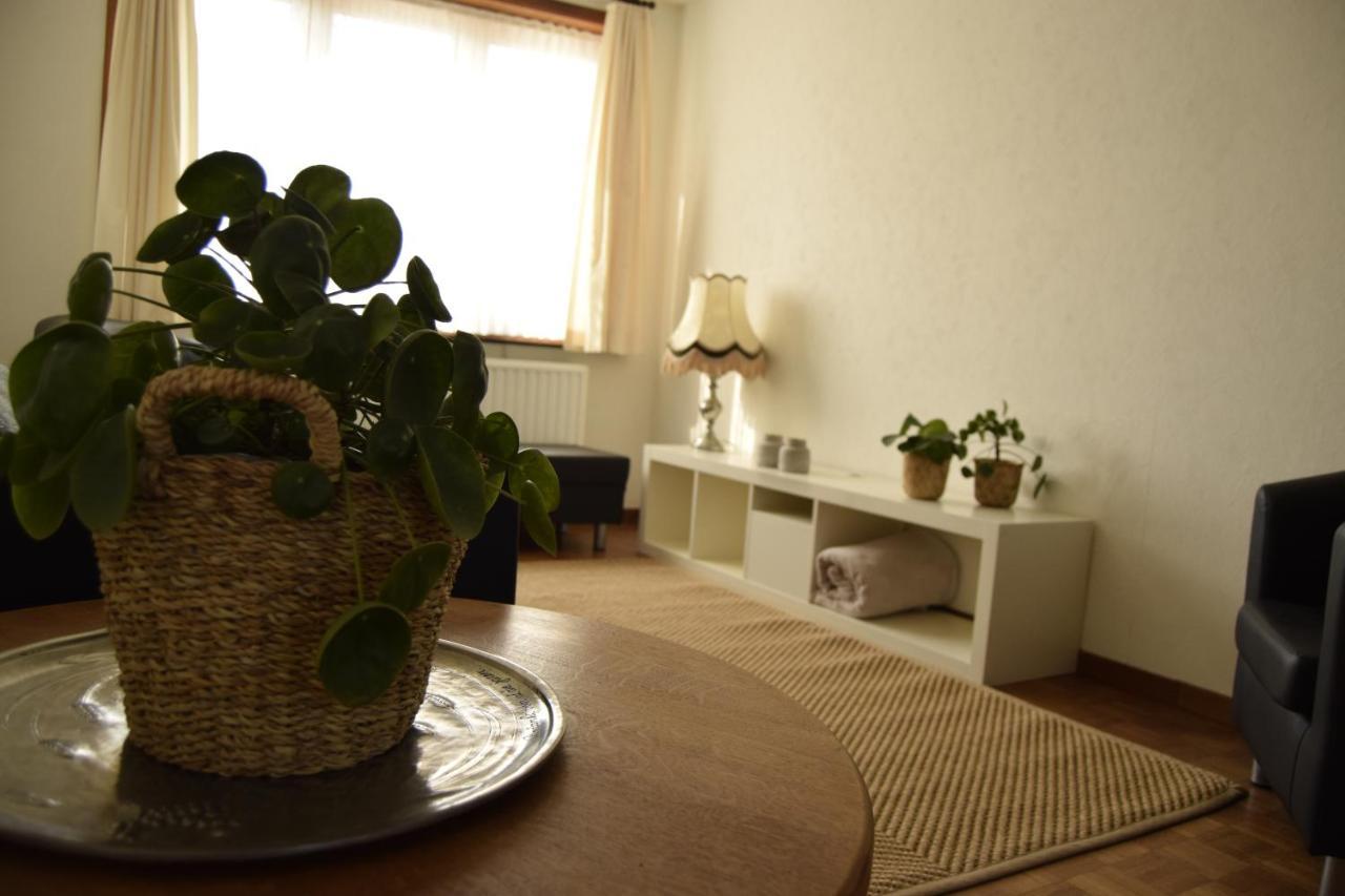Vakantiewoning Wurfeldermolen Маасейк Екстер'єр фото