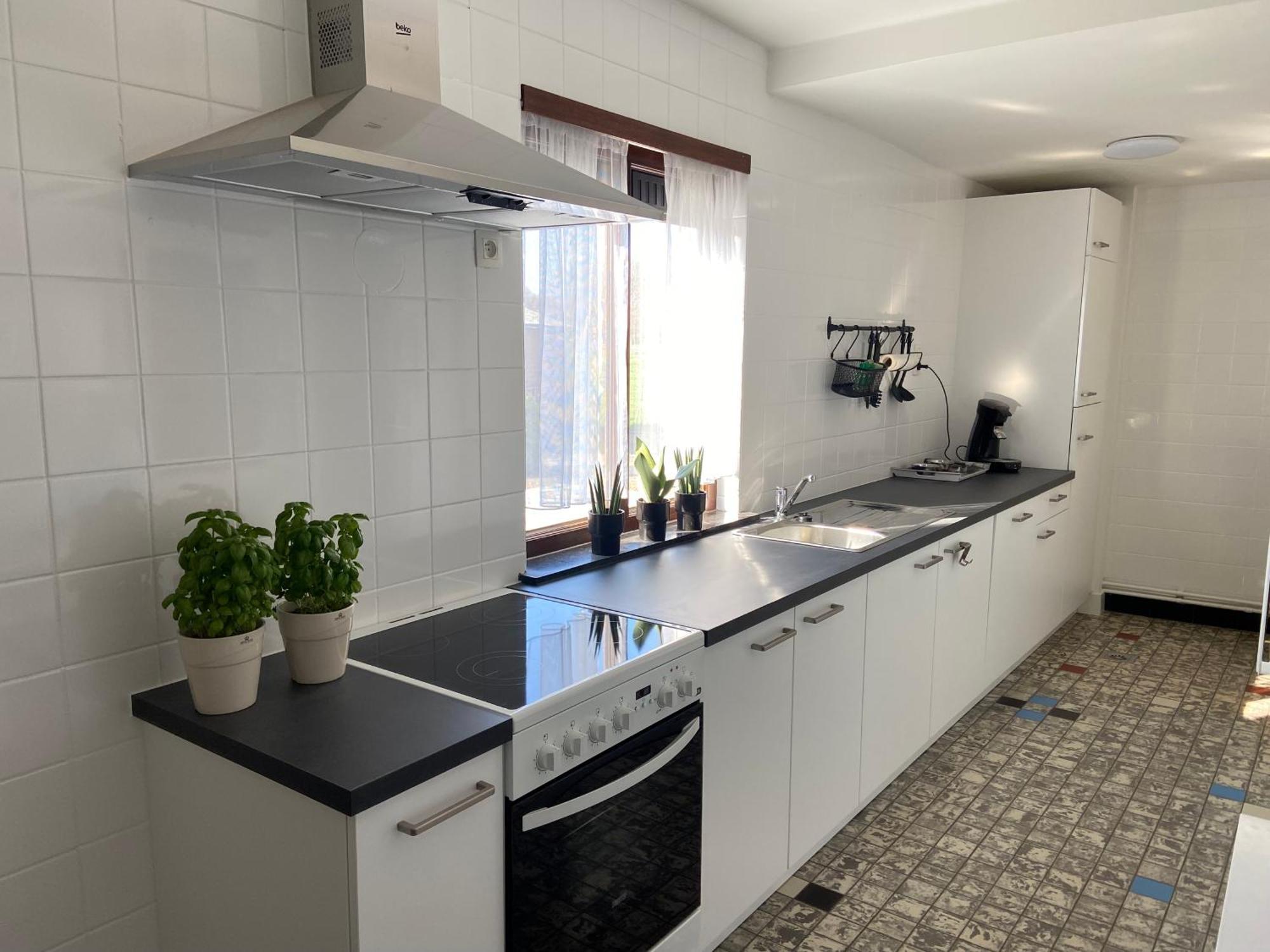 Vakantiewoning Wurfeldermolen Маасейк Екстер'єр фото