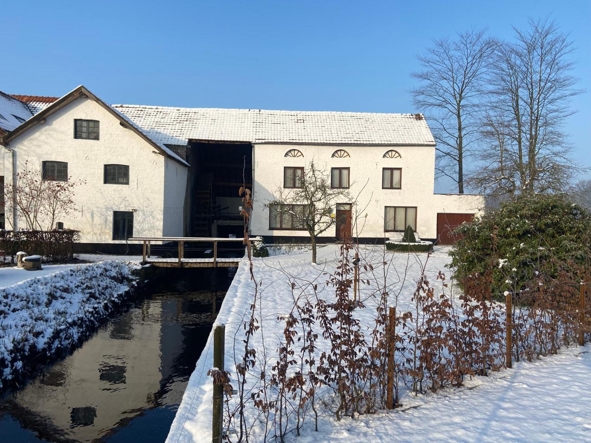 Vakantiewoning Wurfeldermolen Маасейк Екстер'єр фото